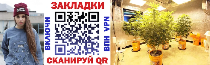 Цена Нюрба Alpha PVP  Псилоцибиновые грибы  Мефедрон  ГАШ  КОКАИН  АМФ 